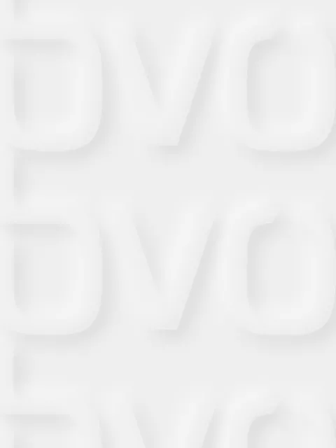BVÖ Logo 